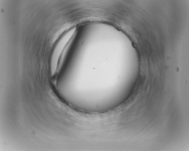 X0000088620015200706151903