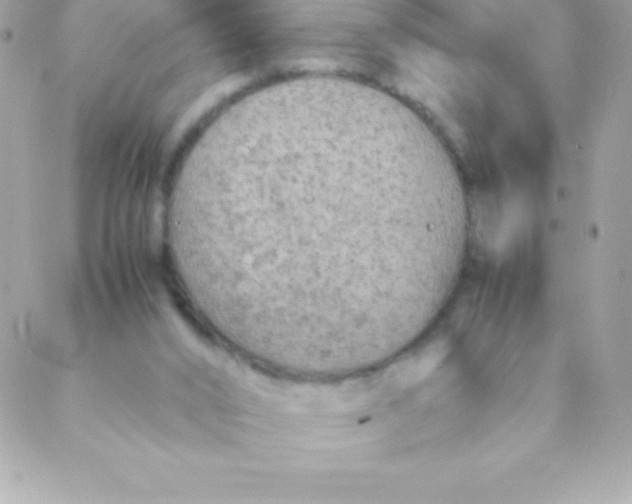 X0000088620016200706151903