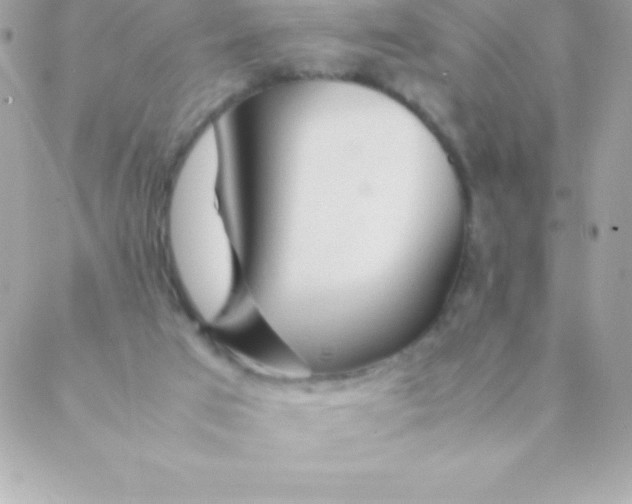 X0000088620017200706151903