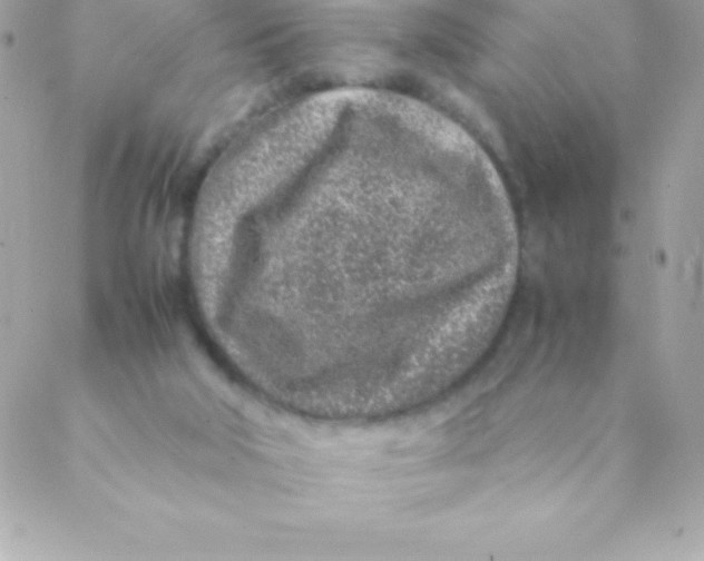 X0000088620018200706151903