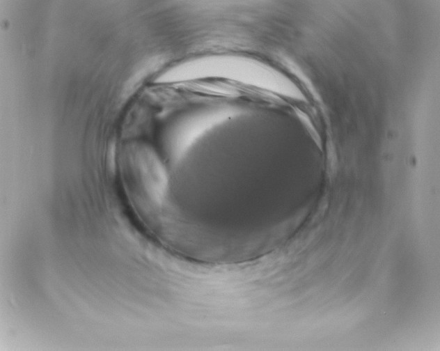 X0000088620019200706151903