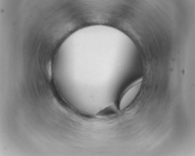 X0000088620020200706151903