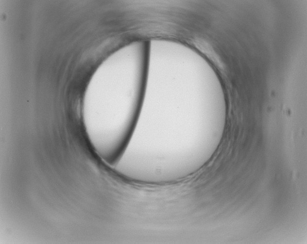 X0000088620021200706151903