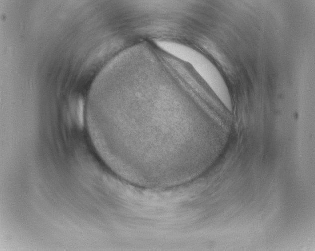 X0000088620022200706151903