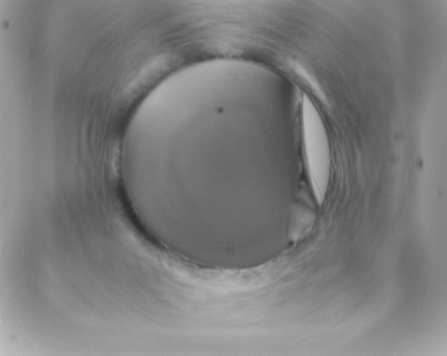 X0000088620023200706151903