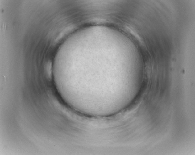 X0000088620024200706151903