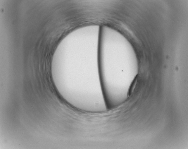 X0000088620025200706151903