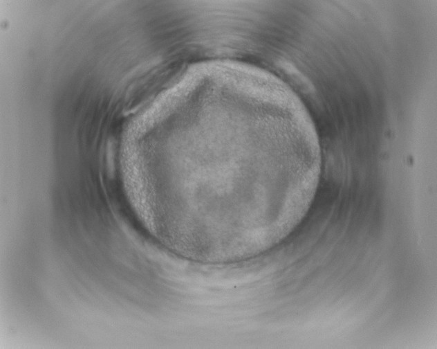 X0000088620026200706151903