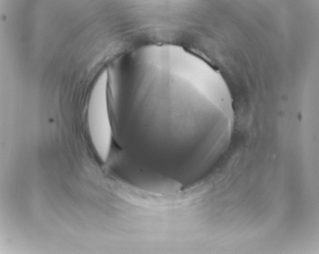 X0000088620027200706151903