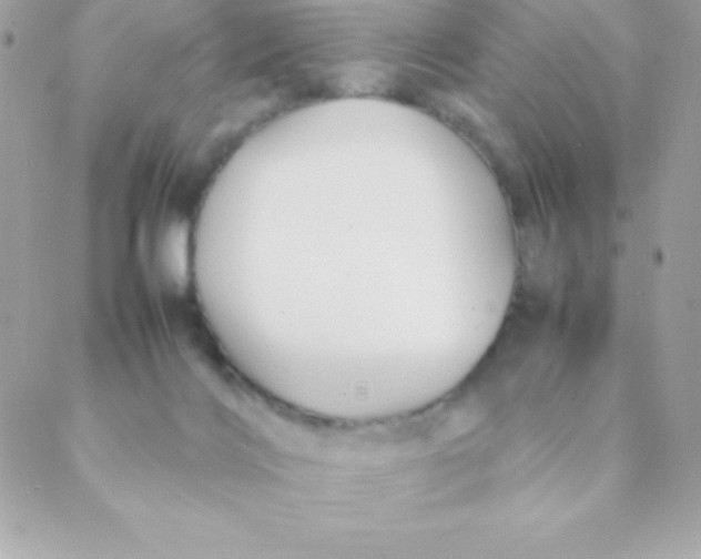 X0000088620028200706151903