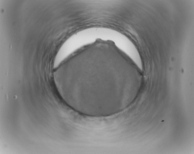 X0000088620029200706151903