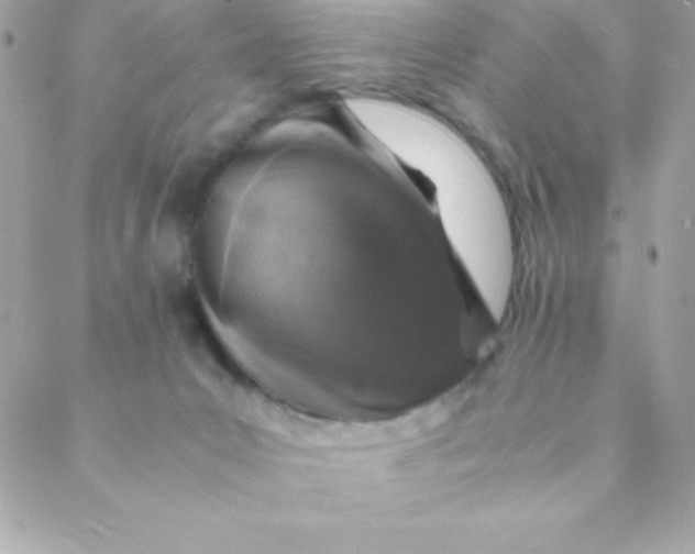 X0000088620031200706151903