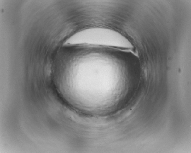 X0000088620032200706151903