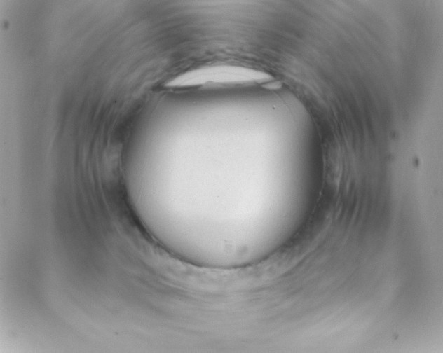 X0000088620034200706151903