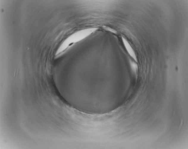 X0000088620035200706151903