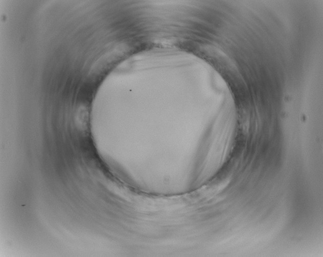 X0000088620036200706151903