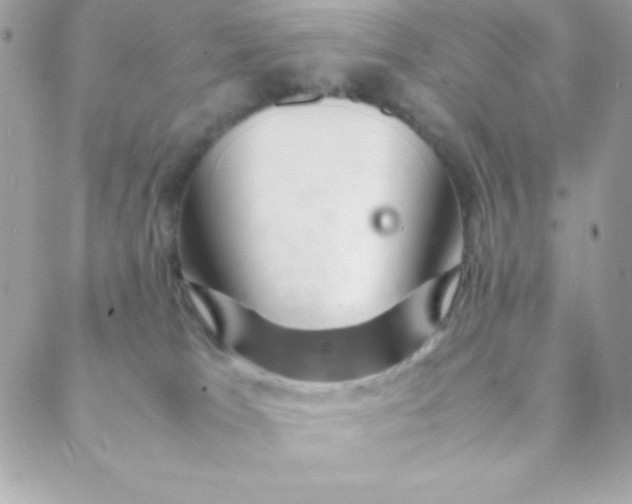 X0000088620037200706151903