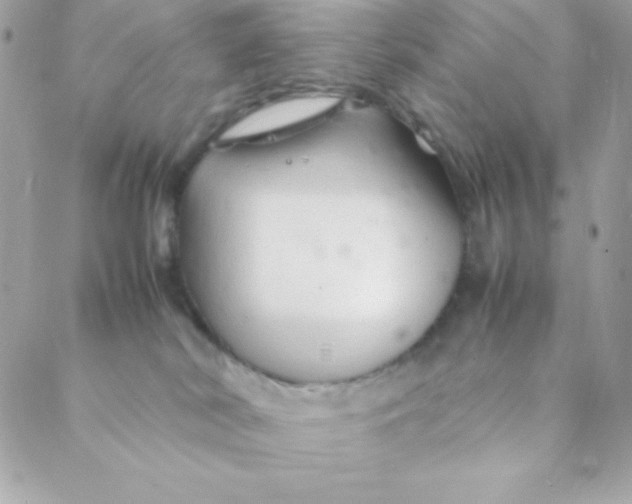 X0000088620038200706151903