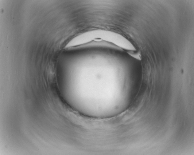 X0000088620040200706151903