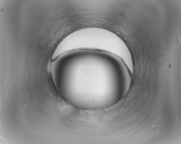 X0000088620041200706151903