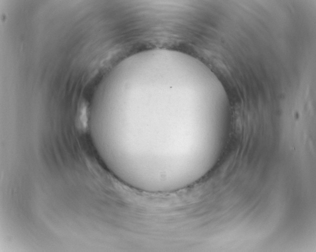 X0000088620042200706151903