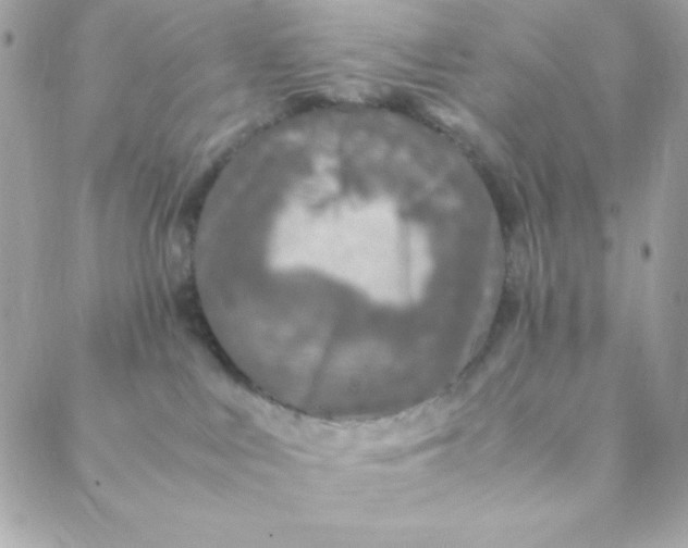 X0000088620043200706151903