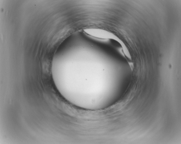 X0000088620044200706151903