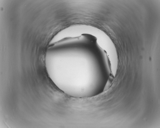 X0000088620045200706151903