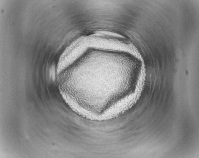 X0000088620046200706151903