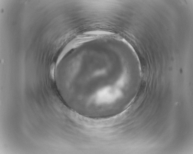 X0000088620047200706151903