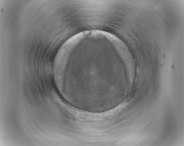 X0000088620048200706151903