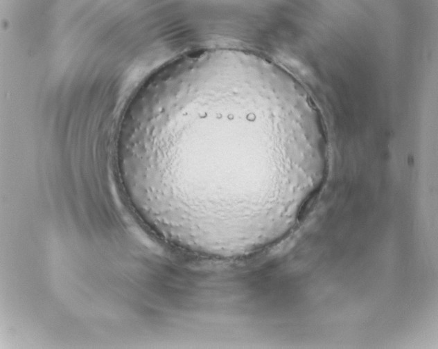 X0000088620049200706151902