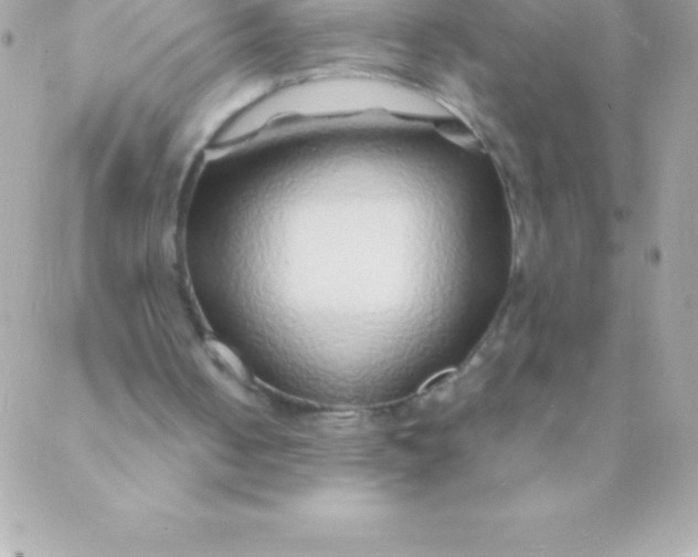 X0000088620050200706151902