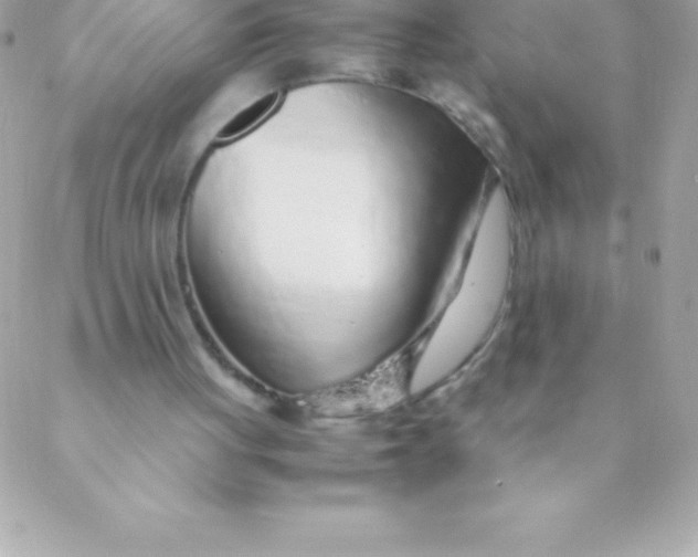 X0000088620051200706151902