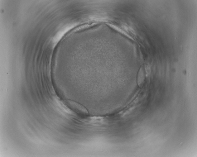 X0000088620052200706151902