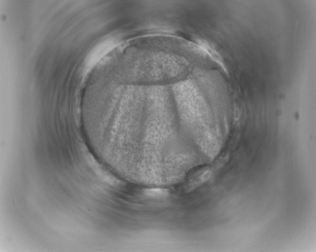 X0000088620053200706151902