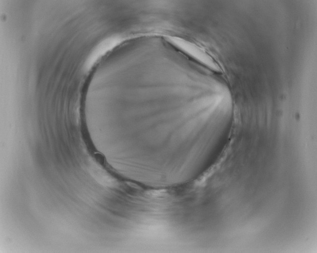 X0000088620054200706151902