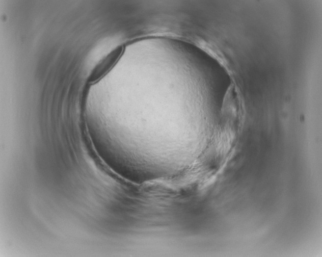 X0000088620055200706151902