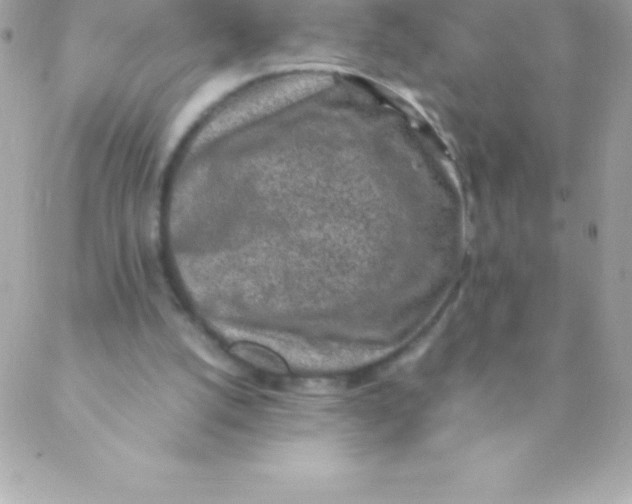 X0000088620056200706151902