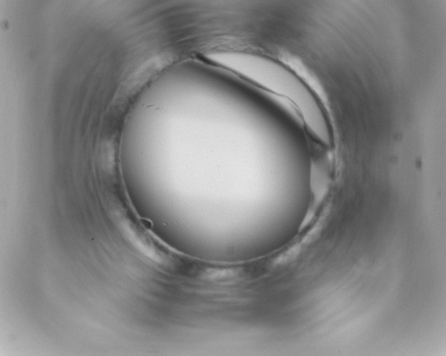 X0000088620057200706151902