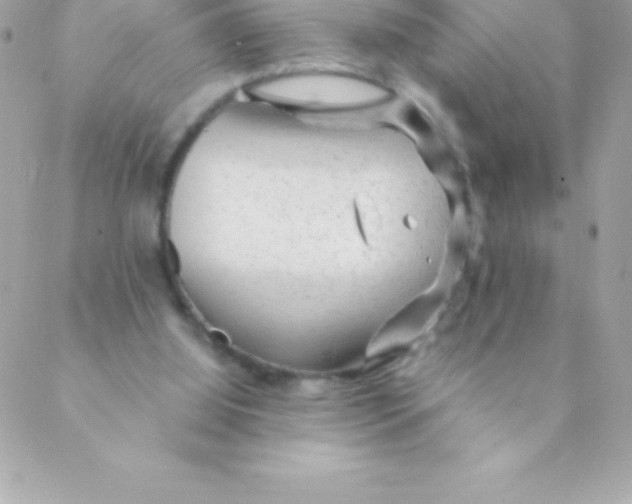 X0000088620060200706151902