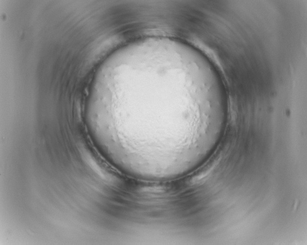 X0000088620061200706151902