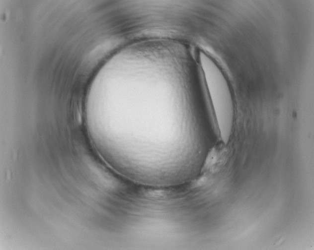 X0000088620062200706151902