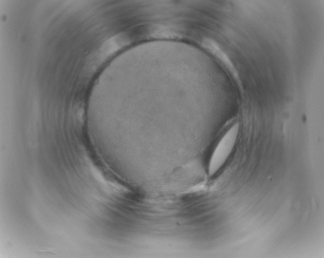 X0000088620063200706151902