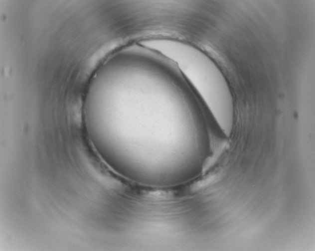 X0000088620064200706151902