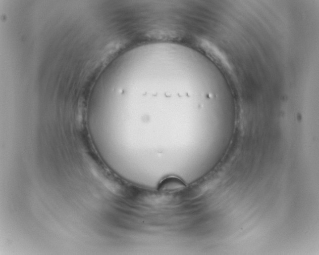 X0000088620065200706151902