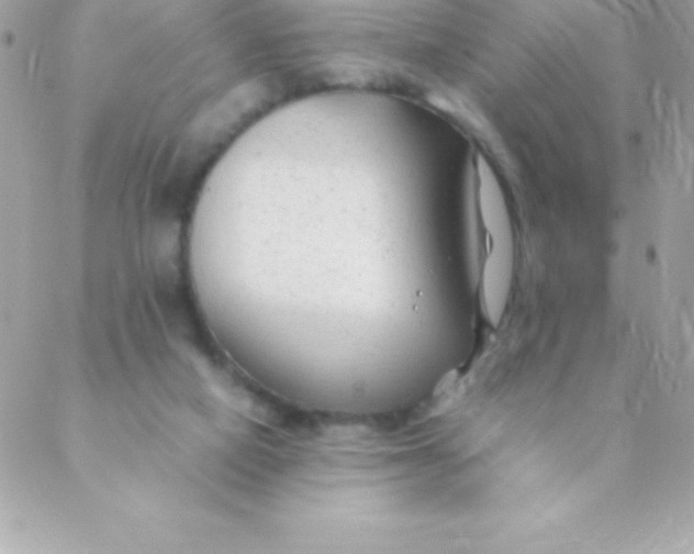 X0000088620066200706151902