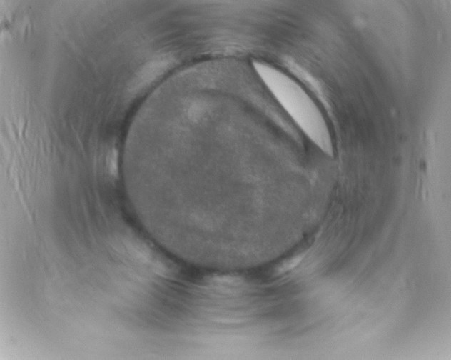 X0000088620067200706151902