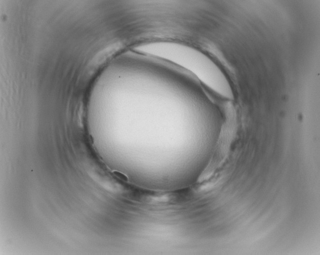 X0000088620068200706151902