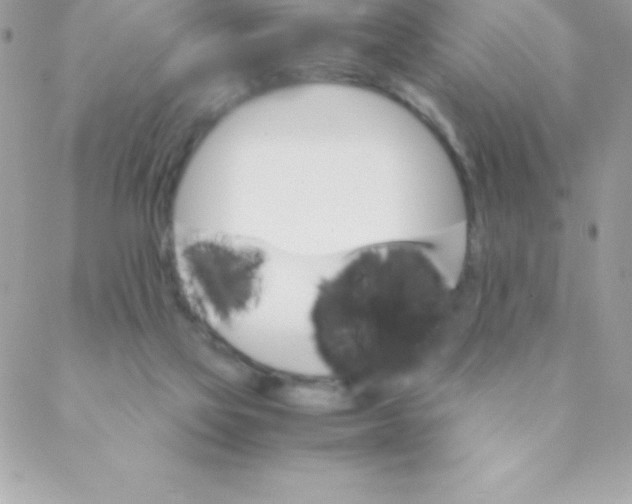 X0000088620069200706151902